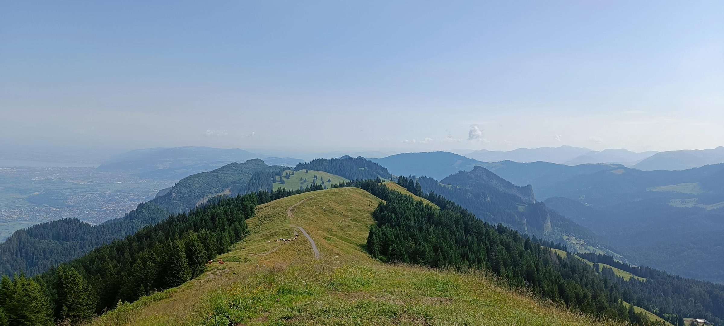 Begrünter Bergrücken mit einem Weg, der nach vorne führt, dahinter das Rheintal im Dunst